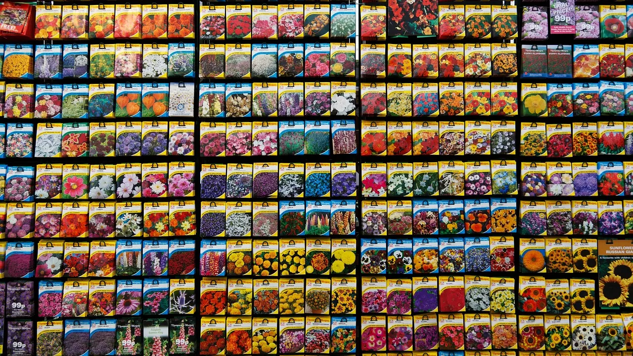 A rack of many colourful seed packets
